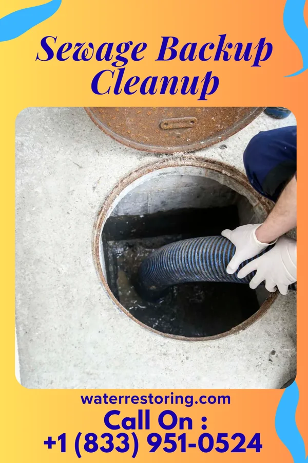 Sewage Backup Cleanup in Hallstead, PA
