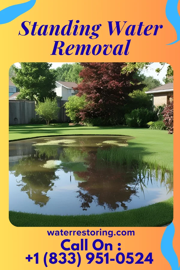 Standing Water Removal in Hallstead, PA